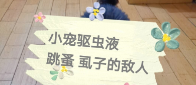 小宠虱敌驱虫--夏日里的养宠必备好用物