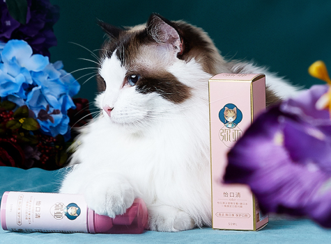 弥亚，为爱猫而生