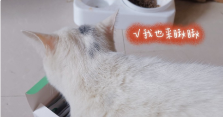 1615450299158126.png