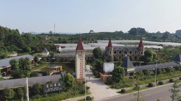 1626242008(1).jpg