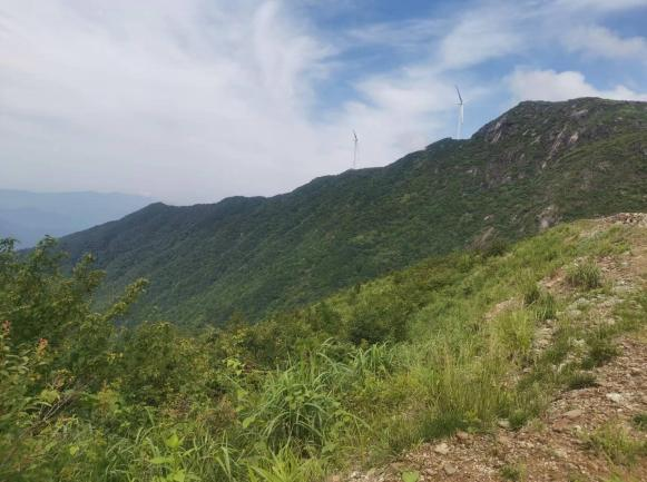 1665544116222921.png 1665544116222921.png