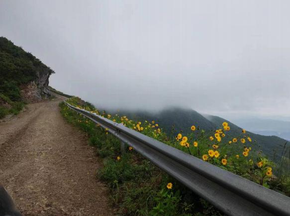 1665544135725270.png 1665544135725270.png